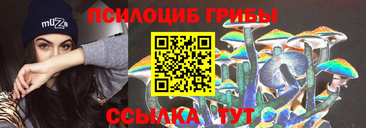 Псилоцибиновые грибы MAGIC MUSHROOMS Богданович
