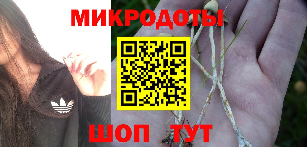 Псилоцибиновые грибы Psilocybine cubensis  Вход с VPN  Богданович  Галлюциногенные грибы Magic Shrooms 