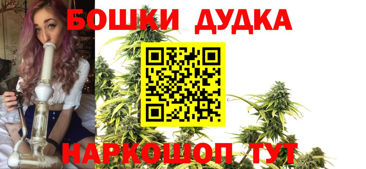 Марихуана сатива Богданович